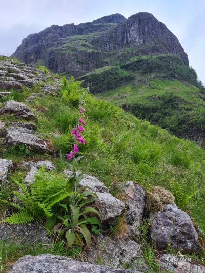 Aonach Dubh