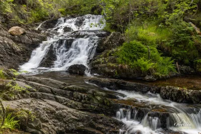 Cascades Cascades