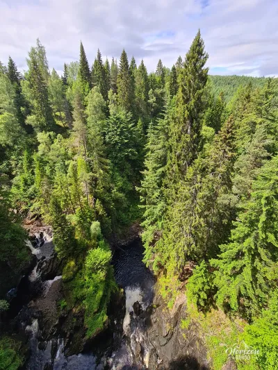 Plodda Falls Plodda Falls
