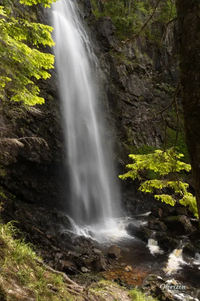 Plodda Falls Plodda Falls