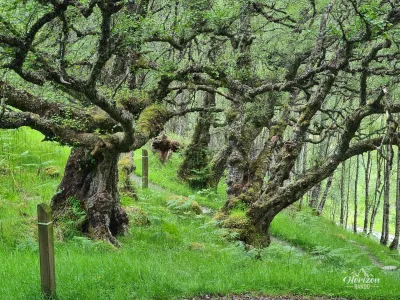 River Affric – photo 3