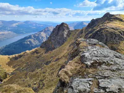 The cobbler The cobbler