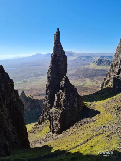 The needle The needle