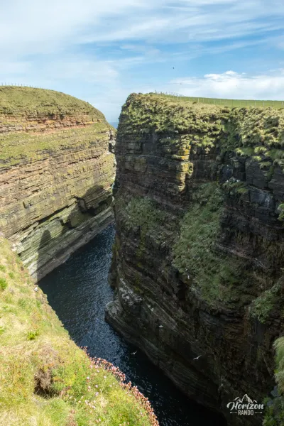 Falaises où nichent de nombreuses espèces d'oiseaux Falaises où nichent de nombreuses espèces d'oiseaux