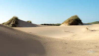 Dunes Dunes