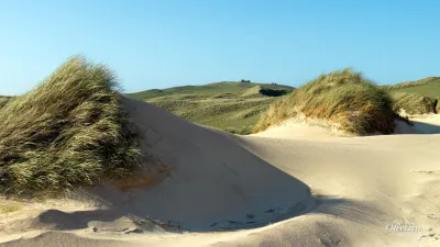 Dunes Dunes