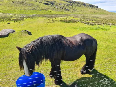 Cheval Cheval