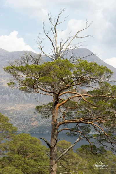 Loch Maree et Slioch Loch Maree et Slioch