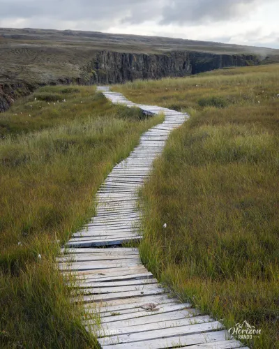 Sentier aménagé dans les endroits marécageux Sentier aménagé dans les endroits marécageux