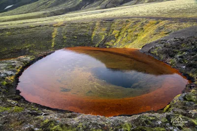 Rauðauga Rauðauga