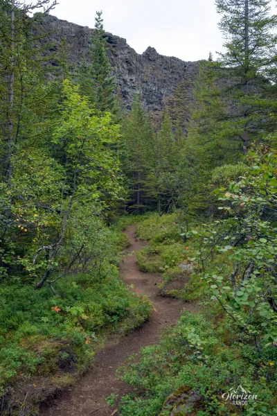 Canyon d'Ásbyrgi