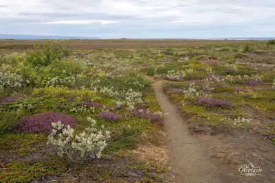 Une belle végétation tout au long du sentier