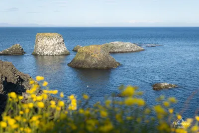 Côte d'Arnarstapi Côte d'Arnarstapi