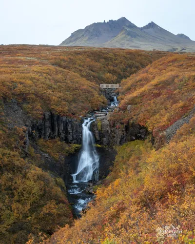 Cascade Cascade