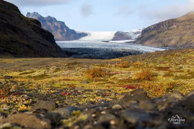 Glacier de Skaftafellsjökull