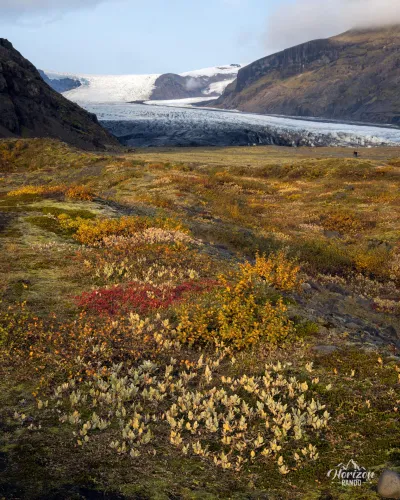 Glacier de Skaftafellsjökull