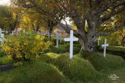 Hofskirkja cemetery Hofskirkja cemetery