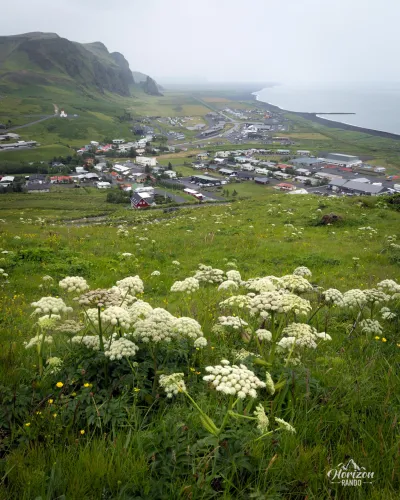 Vik Vik