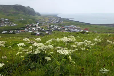 Vik Vik