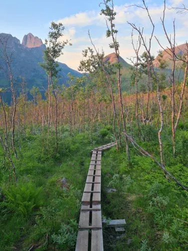 Sentier vers Hesten, Senja