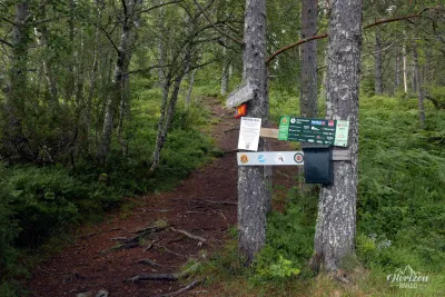 Départ de la randonnée en forêt Départ de la randonnée en forêt
