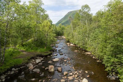 Début de la randonnée en forêt Début de la randonnée en forêt