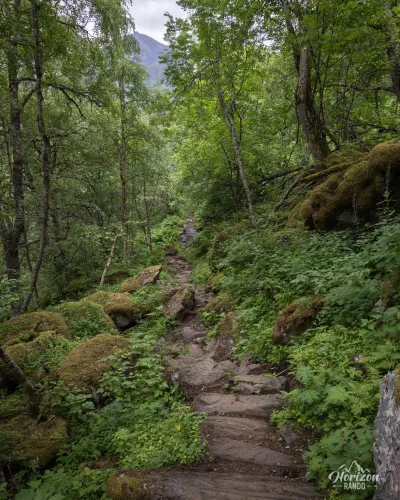 Sentier en fôret Sentier en fôret