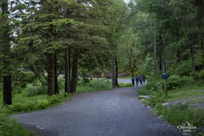 Large piste vers Fløyen
