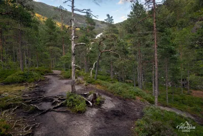 Sentier forestier