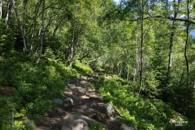 Sentier en forêt Sentier en forêt