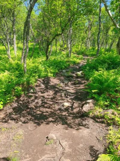 Début de la montée plus raide Début de la montée plus raide