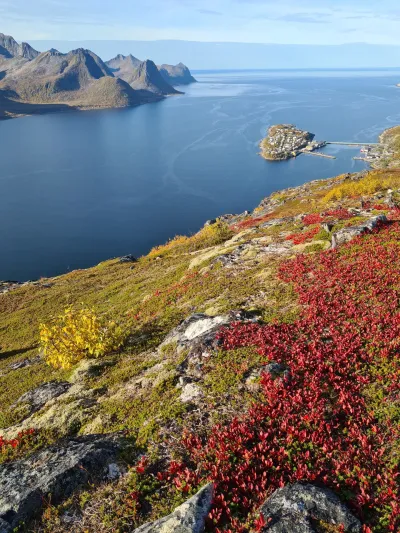 Øyfjorden et le village de Husøy Øyfjorden et le village de Husøy