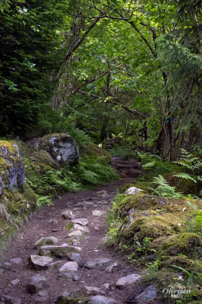 Sentier très agréable, en forêt Sentier très agréable, en forêt