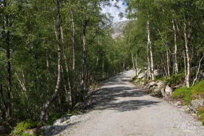 Début de la randonnée sur une piste forestière Début de la randonnée sur une piste forestière