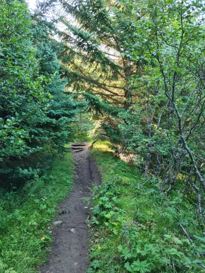 Début du sentier en forêt Début du sentier en forêt