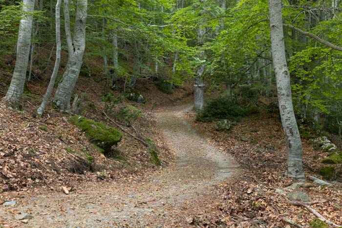 Randonnée du Monte San Petrone