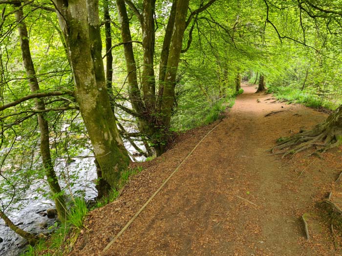 Randonnée de Braan Walk