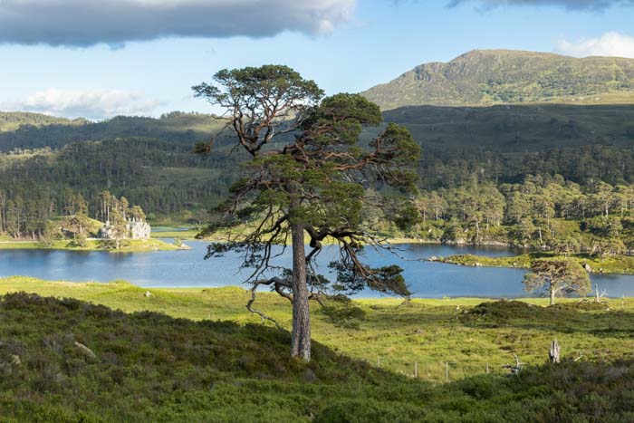 Randonnée de Loch Affric