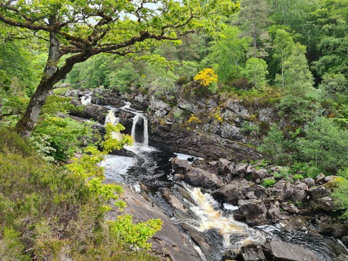 Randonnée des Cascades de Rogie