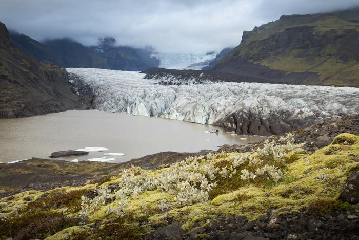 Glacier de Svínafellsjökull